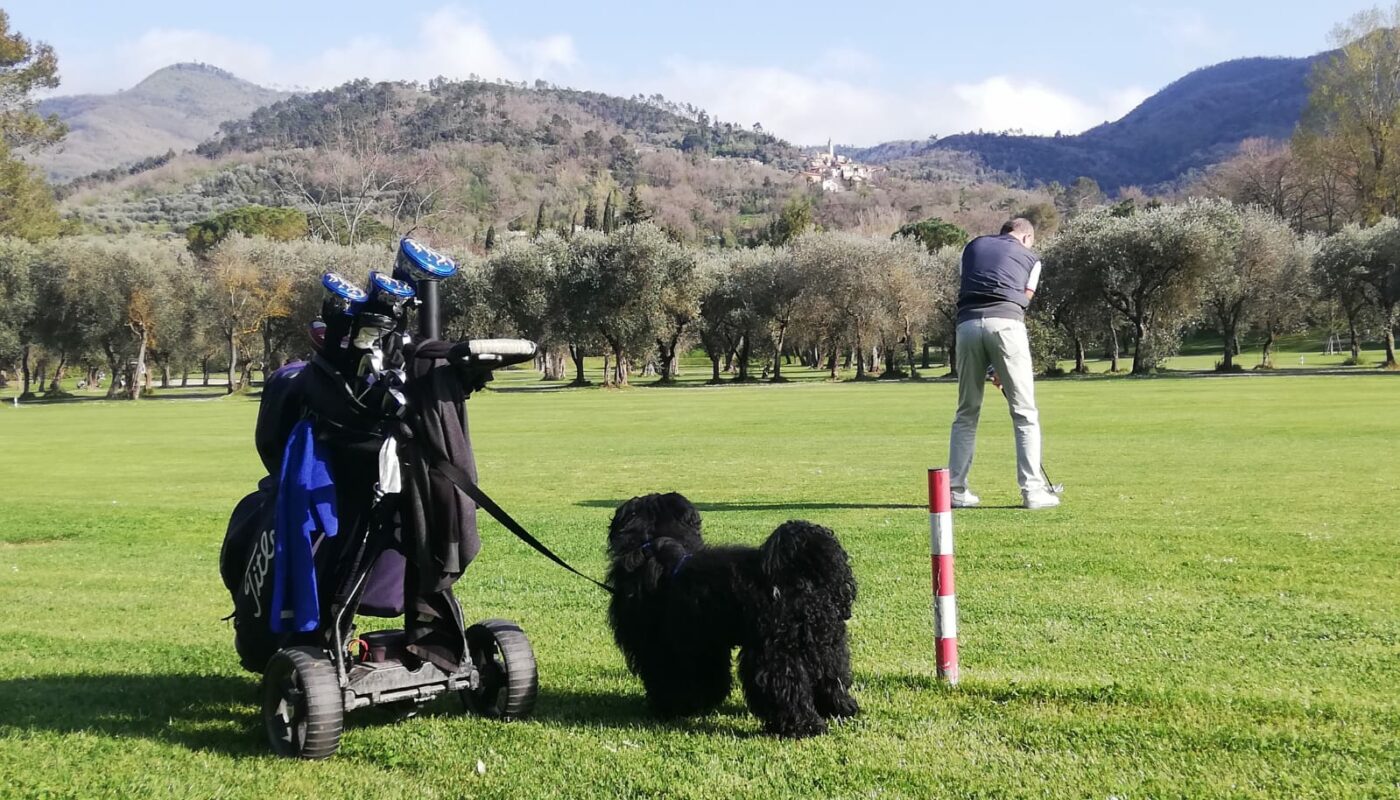 #golfdogfriendly