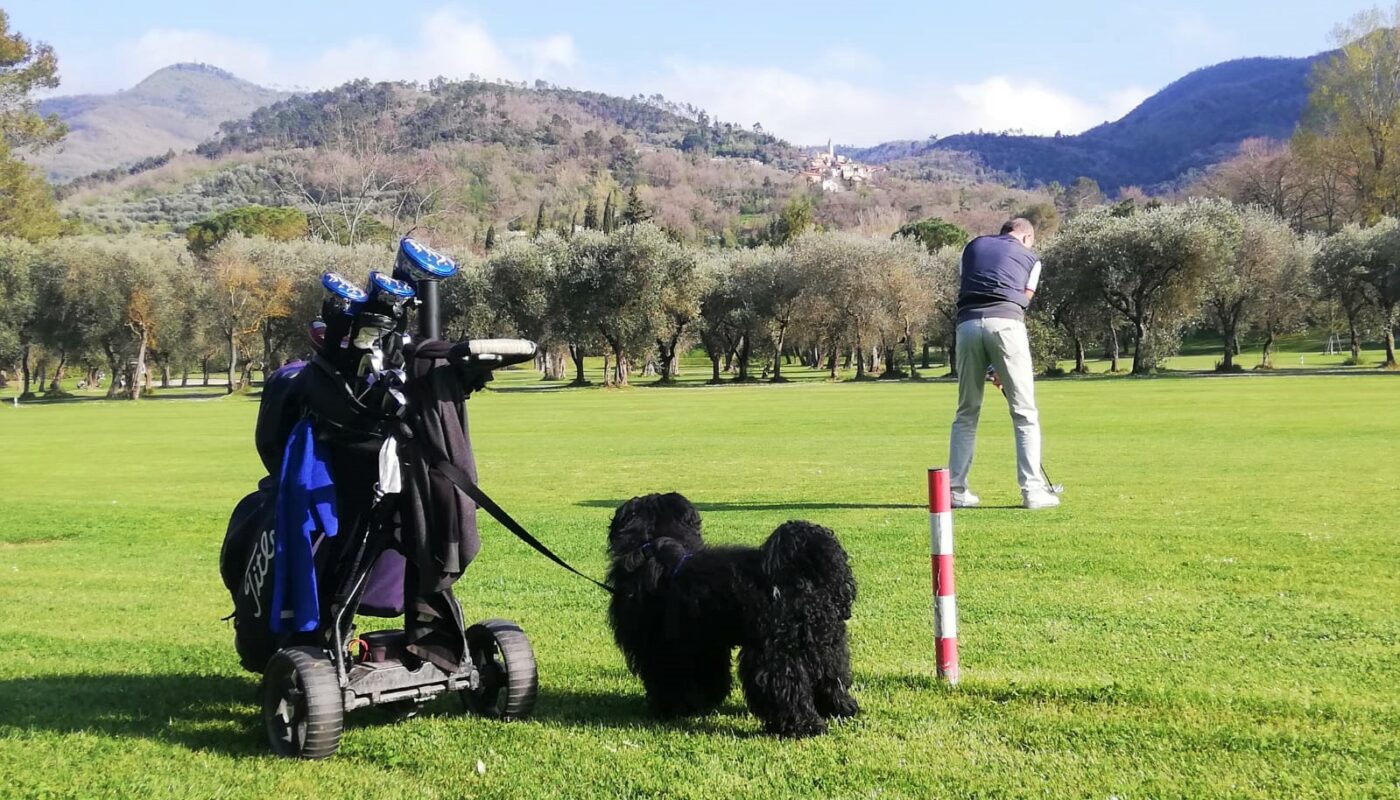 #golfdogfriendly